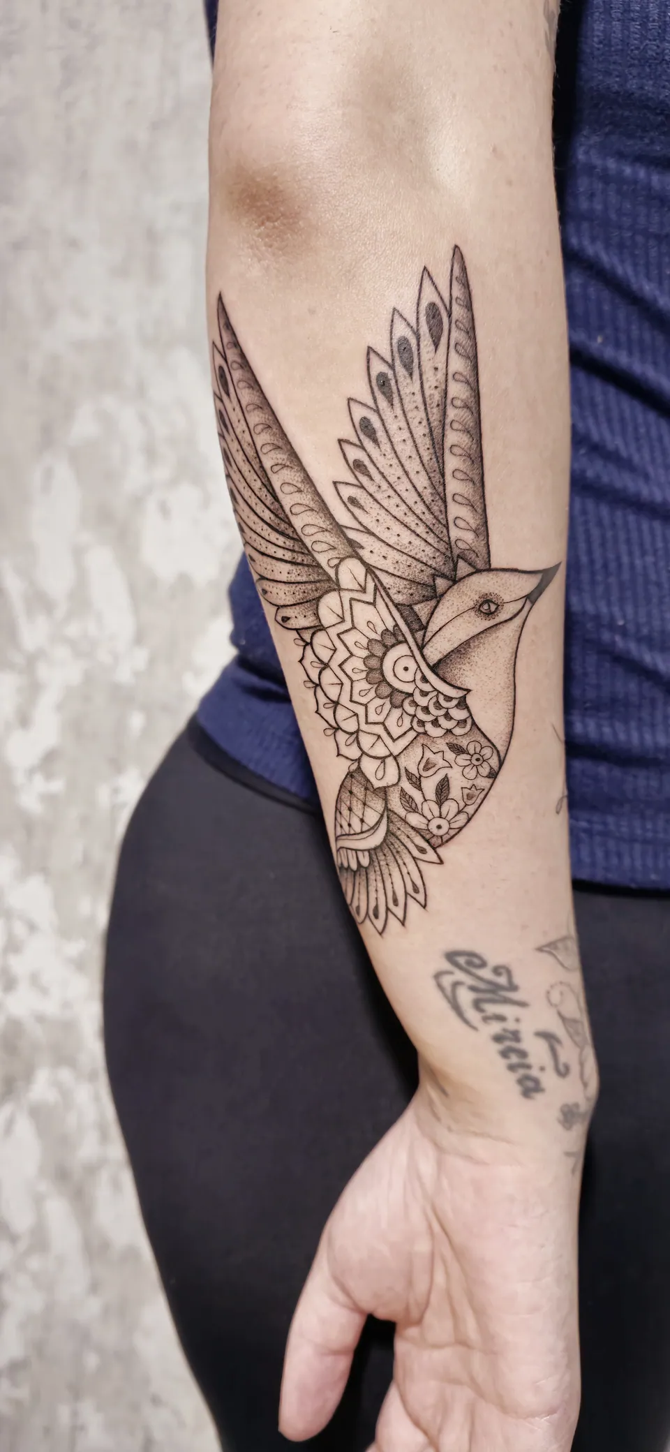 Beija-flor ornamental em dotwork no braço
